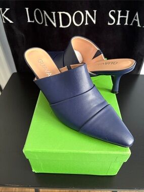 Guava Navy Pointed Slip-On Mules